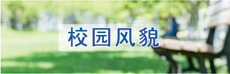 校園風(fēng)貌